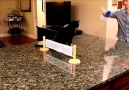 Crazy Cats Love To Play Ping Pong