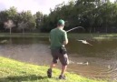 CRAZY - FISH ATTACK ON LURE RAPTOR BIRD ATTACK ON FISH !