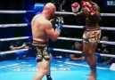 Crazy Knockout