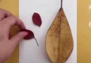 Creative models from leaves