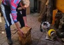 Credit Yuval Lahav Woodturning - youtube.comyuvallahav