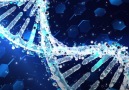 CRISPR gene editing has been tested on 86 human patients.