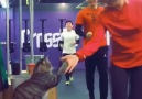 CrossFit cat ends every workout with a high-five.