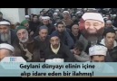 Cübbelinin Muhteşem Geylanisi