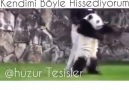 Cuk oturmuş