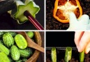 Cultiva tus propias plantas - Ideas en 5 minutos