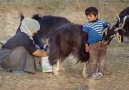 Cuma Arslanoğlu - &quotDedelerimize değil bilmem kime...