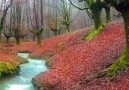 CUMA GECEMİZ MBREK OLSUN - Çamlıktepe HABER Yüceyurt