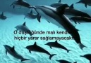 CUMA GECEMİZ MÜBAREK OLSUN İNŞALLAH.. - Cuma Mesajlari 2019