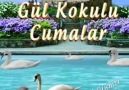 Cumamız Mübarek OlsunHayırlı Sabahlar GÜNAYDIN