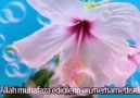 Cumanız mübarek olsun - Durağan Güncel Haber