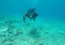 Cüneyt Yanıker - Open water diving couser dalış eğitimi