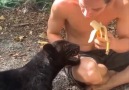 Curiosolandia - Mascotas gigantes como nunca antes habas...