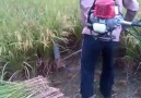 Curte ai a adaptação que esse cara fez para facilitar seu trab...