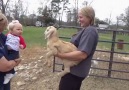 Cute Baby And Goat Copy Each Other