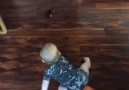 Cute Baby Is Determined To Catch Car