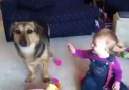 Cute Baby Video - Watch Baby   Dog at Play