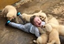 Cute Baby WIth Puppies.