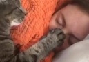 Cute Cat Loves Her Human