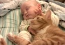 Cute cats and their human kittens!