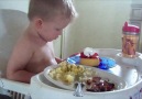 Cute Kid Falls Asleep In Food