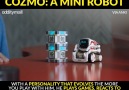 Cute Mini Robot