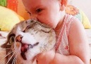 Cutest Babies Videos - Funny Babies Troll Animals Facebook