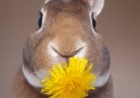 Cutest flower eater ever