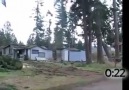 Cutting Tree Fails
