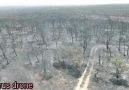 Cyprus drone - Büyük yangından geriye kalanlar... Bize...