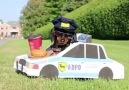 Dachshund High-Speed Police Chase