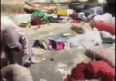 Daha kaç can yitip gidecek ırgatlık... - Akçal Abdurrahman