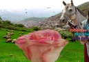 Daha Ne Diyeyim Vefasız (HD)