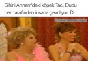 Daha 17 Yaşında le 11 mars