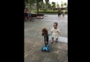 Daha yeni yürümeye başlayan çocuğun scooterını çalan köpek