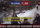 DAHA ZEKİCESİNİ GÖRMEDİM