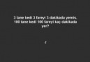 5 Dakikada Zeka Testi Yap Ne Derece Zekisin Merak Ediyorsan 5 ...