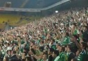 Dale Ve Gollllllll (İşte Tribün Şov Sırasında Gol Oldu)