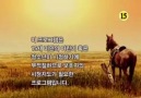 Damo 14. Bölüm FİNAL İyi Seyirler... - Kore Dizileri Paylaşımı