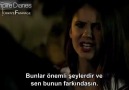 Damon & Elena