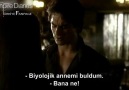 Damon & Elena & Stefan