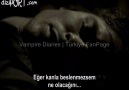 Damon & Stefan 1 x 5