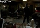 Damon VS Stefan [1 x 1]