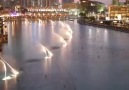 Dancing Fountains of Dubai