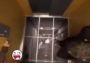 Dangerous Lift