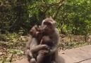 Dans la nature - Magnifique famille