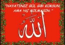 dardayım ey resul