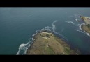 Daru'l-Fünun Vakfı