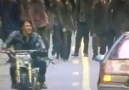 Daryl Dixon Vine