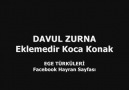 Davul Zurna - Eklemedir Koca Konak